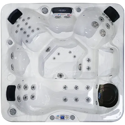 Avalon EC-849L hot tubs for sale in Cape Coral