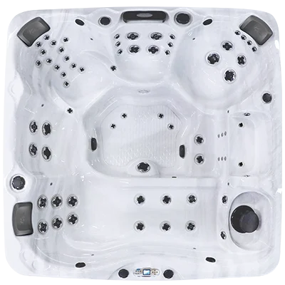 Avalon EC-867L hot tubs for sale in Cape Coral